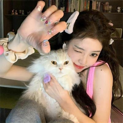 经年离歌愁未休